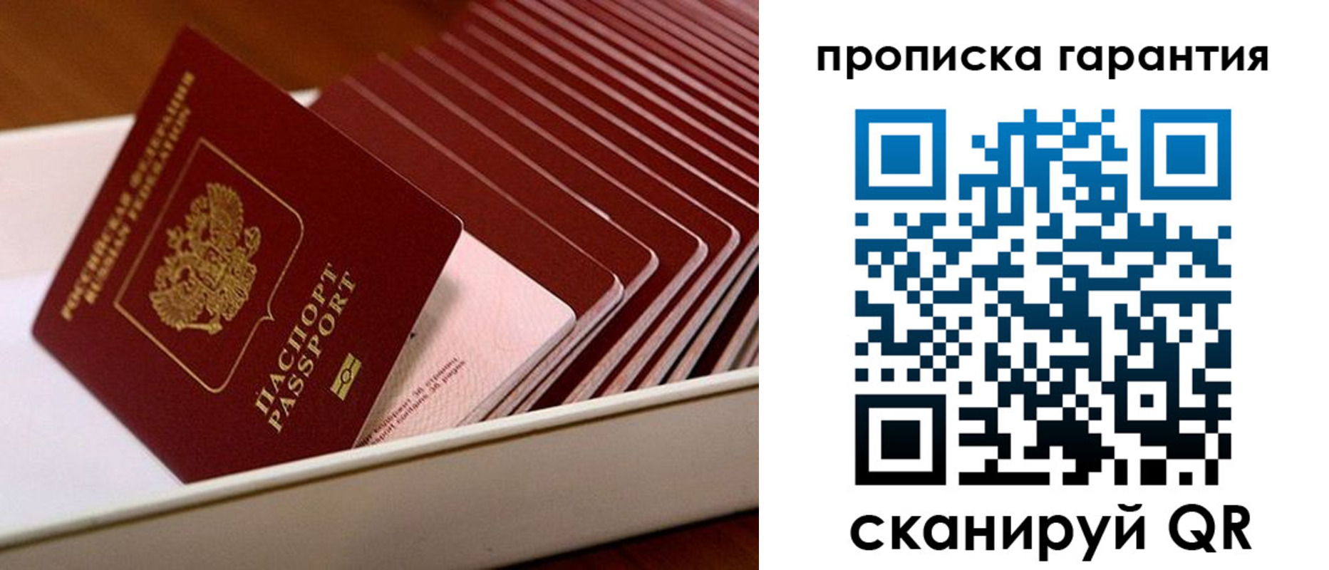 прописка поиск в Малоярославце